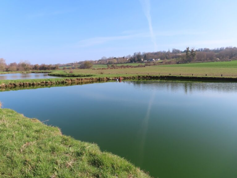 Lagune de Fervaques (Livarot-Pays-d’Auge)