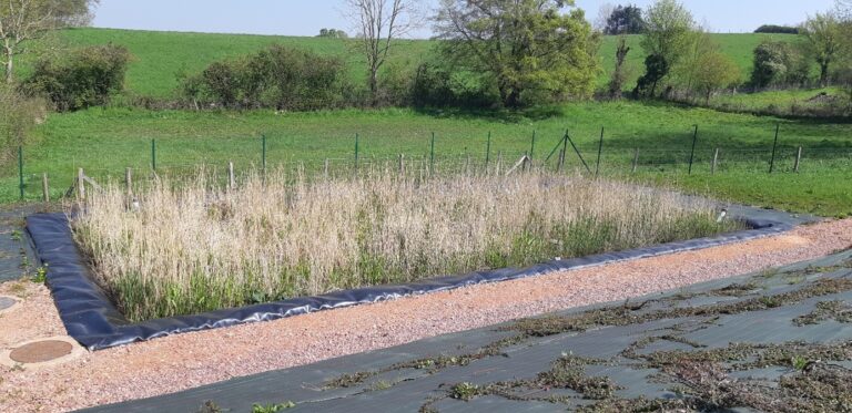 Assainissement collectif